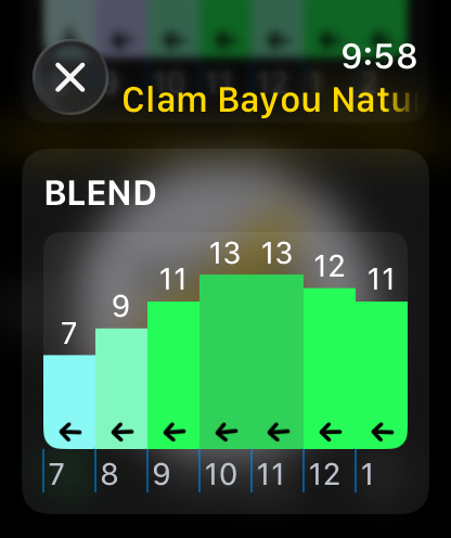 Blend forecast chart on Apple Watch