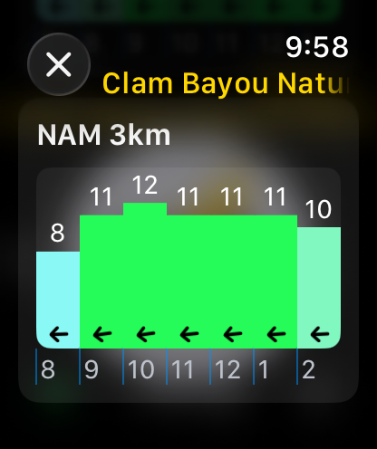 NAM 3k forecast chart on Apple Watch